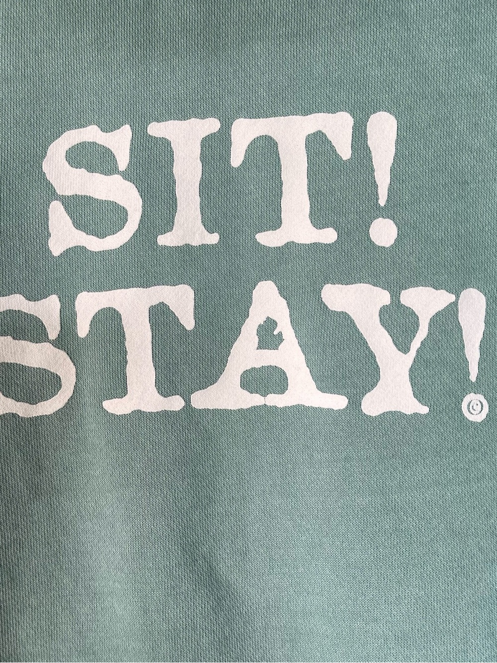Independent Trading Company Seafoam Green Hoodie - Medium - Picture 5 of 8